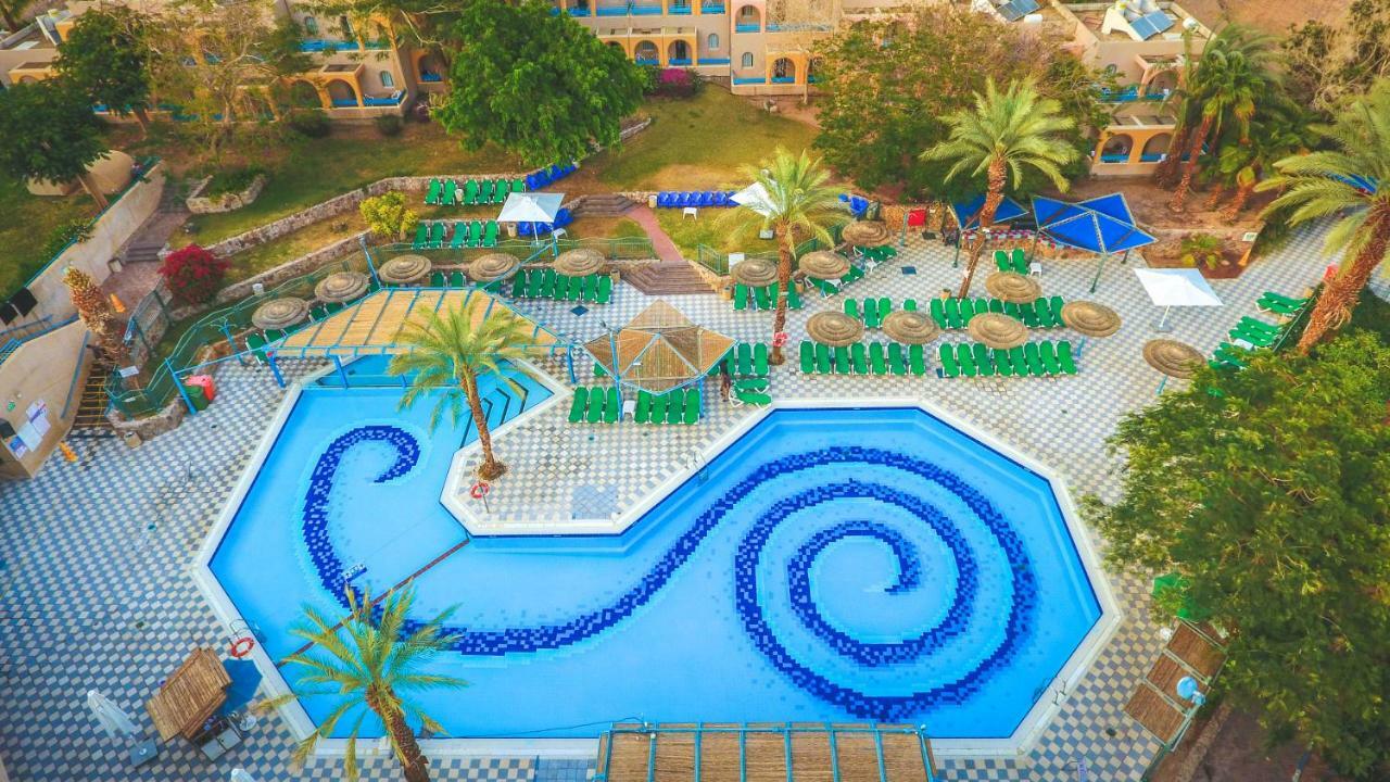 Club In - Coral